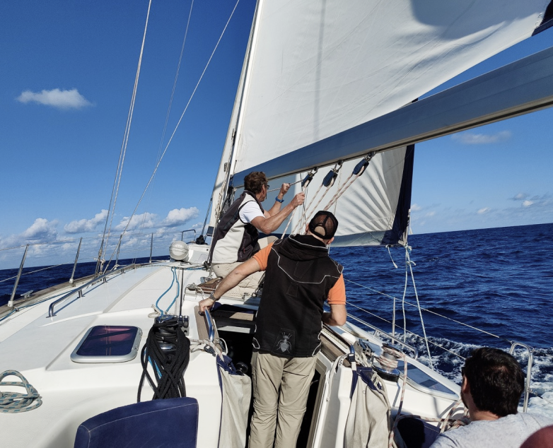 Sail Handling & Trim Optimization