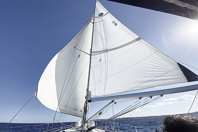 Sail Handling & Trim Optimization